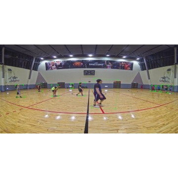 Outdoor Vandal Dome, 8MP 180° Panoramic, 30fps, H.