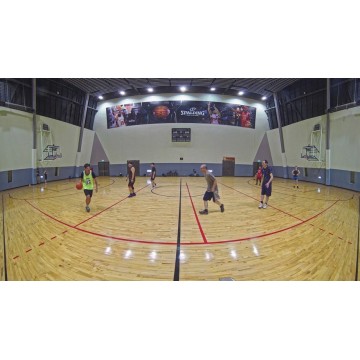 Outdoor Vandal Dome, 5MP 180° Panoramic, 30fps, H.